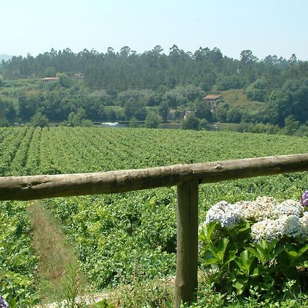 Quinta Do Burgo - Nature Hotel アマレス エクステリア 写真