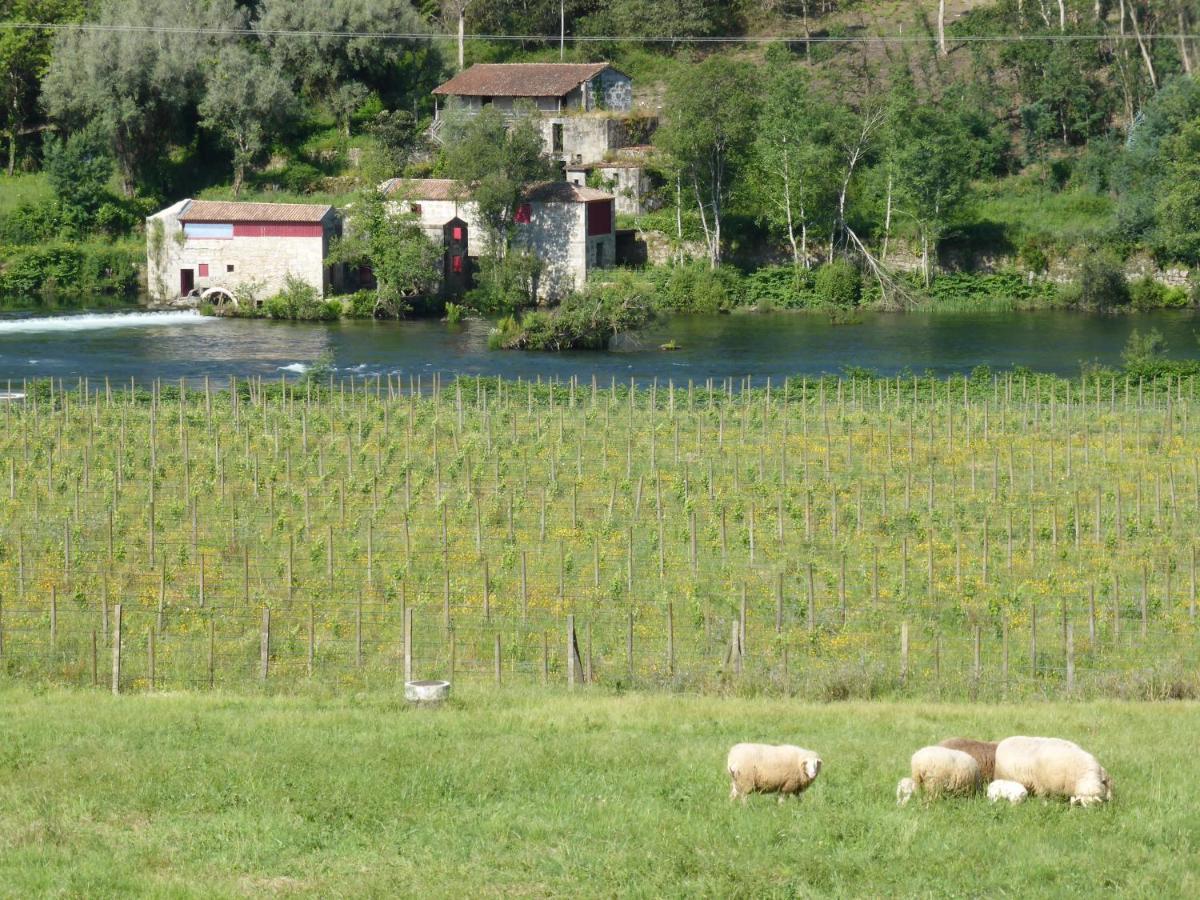 Quinta Do Burgo - Nature Hotel アマレス エクステリア 写真