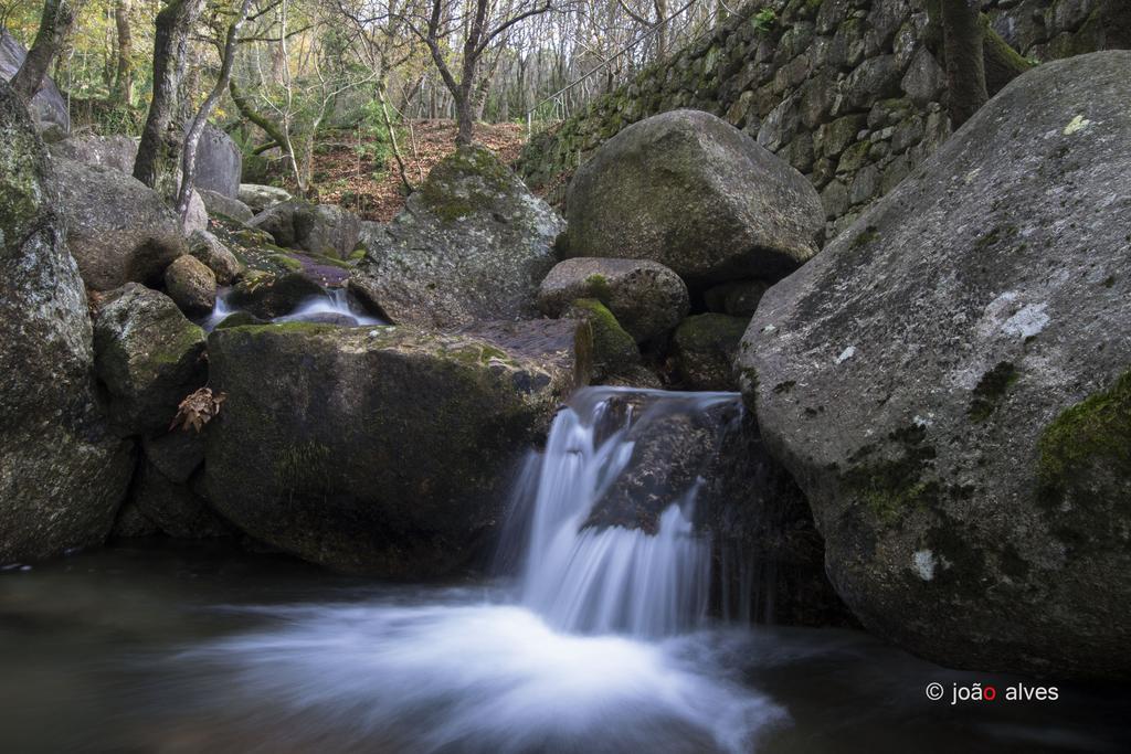 Quinta Do Burgo - Nature Hotel アマレス エクステリア 写真