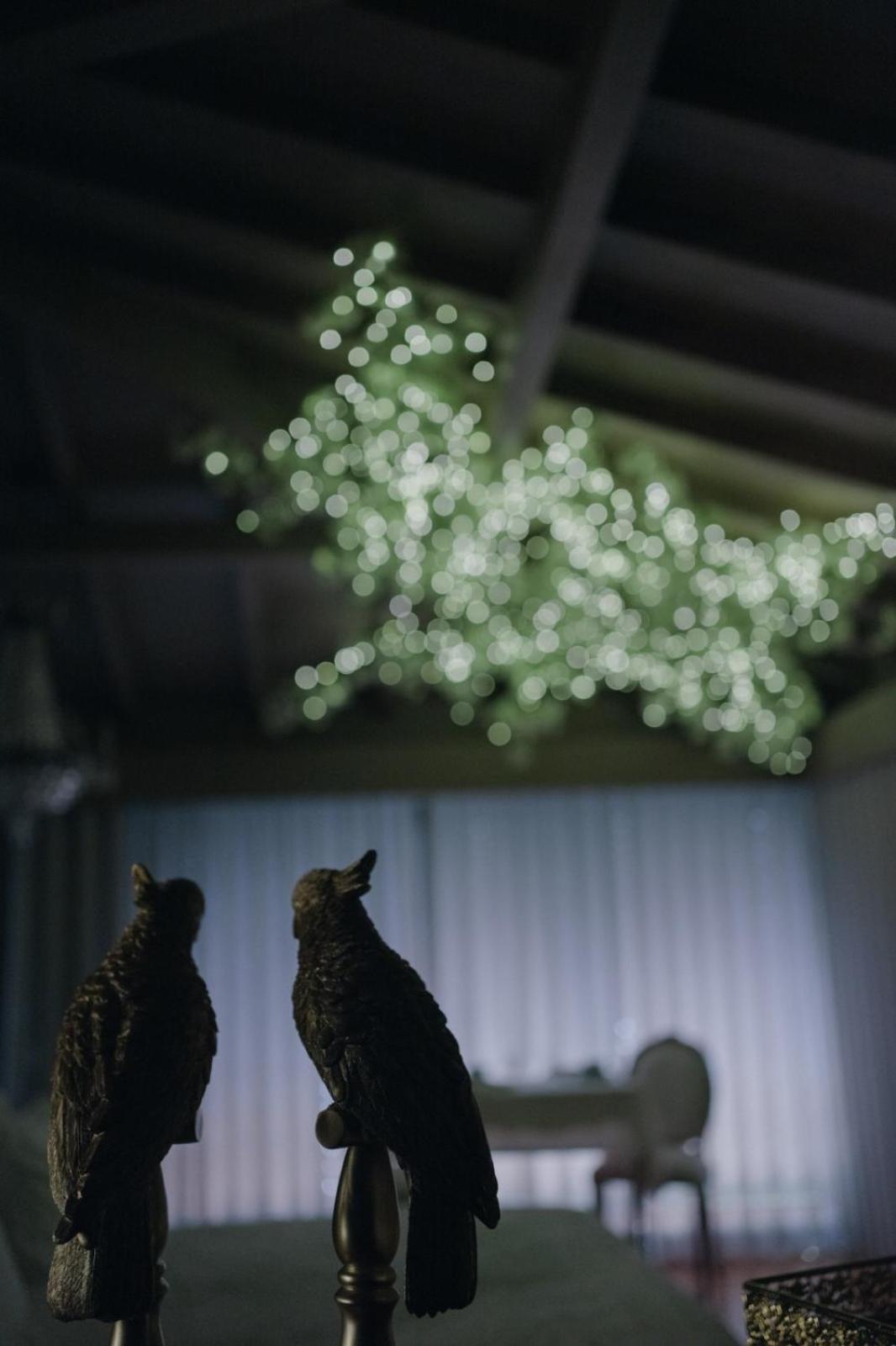 Quinta Do Burgo - Nature Hotel アマレス エクステリア 写真