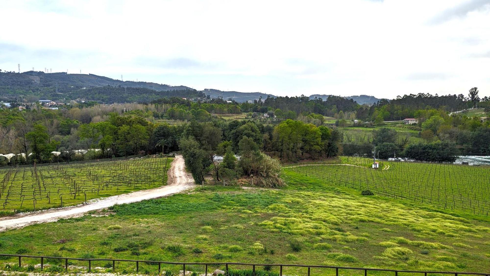 Quinta Do Burgo - Nature Hotel アマレス エクステリア 写真