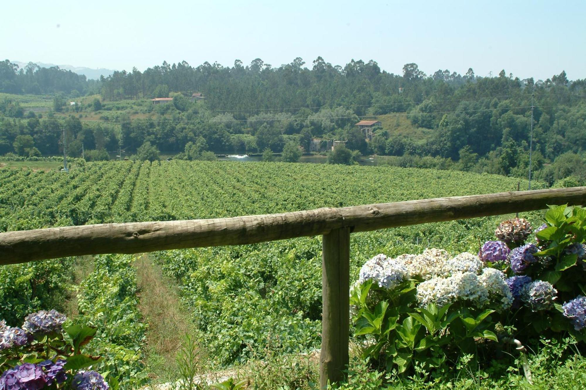 Quinta Do Burgo - Nature Hotel アマレス エクステリア 写真